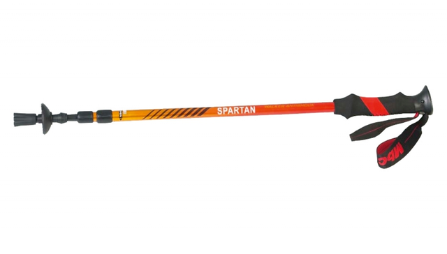 Trekingové hole Carbon Trekking