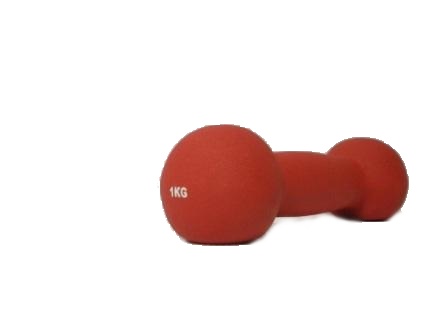 Činka aerobic Spartan 1kg - neopren