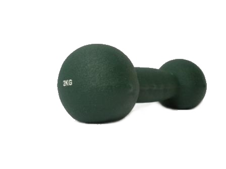 Činka aerobic Spartan 2kg - neopren